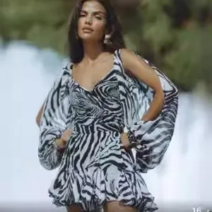 Black and white zebra print long sleeve mini dress for women, casual V-neck short dress style.