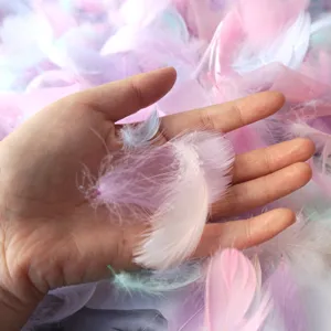 Bunte Bastelfedern für Geschenkschachtel Füllung DIY Hochzeit Party Dekoration weich.
