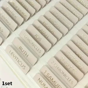 Bibel Registerkarten Set ästhetisch minimalistisch matte Aufkleber mit goldener Schrift.