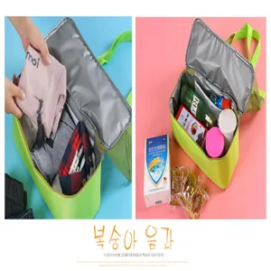 Insulated picnic lunch bag, waterproof thermal travel handbag with dry wet separation.