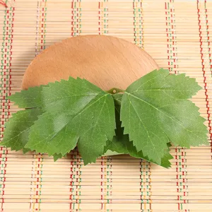 Artificial green leaves detail shot, decorative plant foliage for floral arrangement.