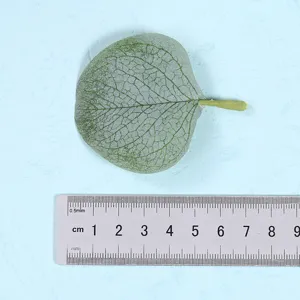 Detailed view of artificial eucalyptus leaf with clear veins and a measuring scale ruler.