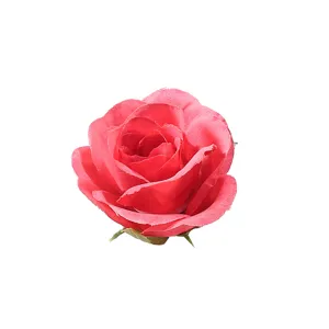 Artificial pink silk rose flower head for home decor, wedding photography and party props.