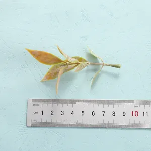 Artificial plant leaf branch detail shot, realistic green foliage prop for home decor display