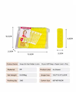 Plastic hair rollers set with pins snap-on magnetic hair curlers for women daily styling.