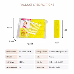 Plastic hair rollers set with pins snap on magnetic hair styling tools for bangs curls 10pcs