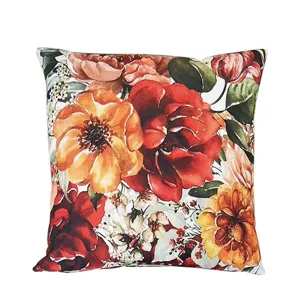 Light Luxury Double Sided Printed Peach Skin Velvet Pillowcase Decorative Living Room Sofa Back Cushion Cover
