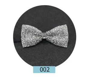 Vista di dettaglio di un papillon da uomo scintillante in strass, elegante accessorio da sposa