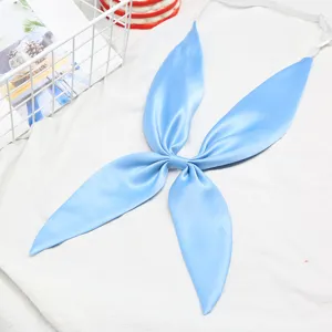 Vue détaillée de cravate de marin JK en satin bleu clair, élégant nœud papillon papillon.