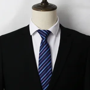 Vue de détail d'une cravate classique pour costume d'homme à rayures bleues et violets.