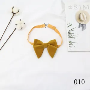 Senfgelbe Samt Fliege Detail, elegante breite Bräutigam Fliege für Hochzeit im britischen Stil.