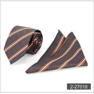 Men business striped necktie and pocket square set for formal suit and professional wear outfit.