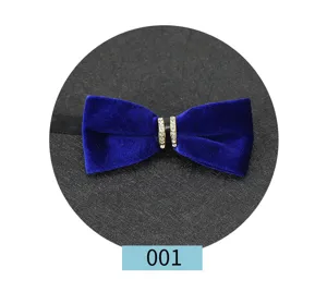 Vue détaillée du nœud papillon en velours bleu roi avec un anneau central strassé.