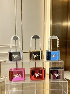 Borsa a mano scatola acrilico donna perla manico catena spalla sera pochette lusso
