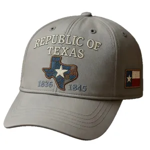 Cappellino da baseball grigio con ricamo Repubblica del Texas, cappello protezione solare vintage.