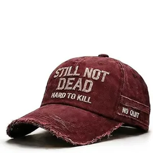Cappello da baseball vintage invecchiato con ricamo, cappello di cotone lavato per uomo e donna.