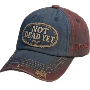 Close-up detail of vintage distressed baseball cap with embroidered patch and contrast stitching.