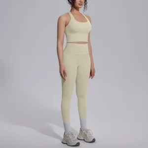 Effenkleurige dubbelzijdige strakke yoga set met mooie rug voor fitness en sporten.