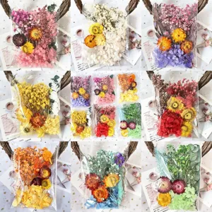 Pacchetto di Materiale per Fiori Secchi Naturali Per Artigianato In Resina Fai Da Te Ortensia Margherite Petali Per Cornici Regalo