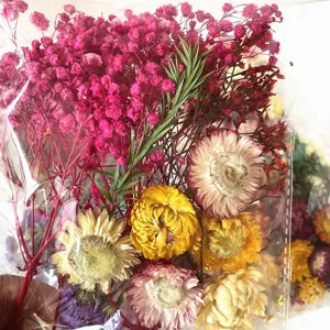 Dettaglio in primo piano di fiori secchi naturali colorati e piante per progetti fai da te.
