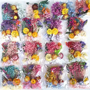 Vista dettagliata di fiori secchi colorati confezioni miste di fiori preservati.