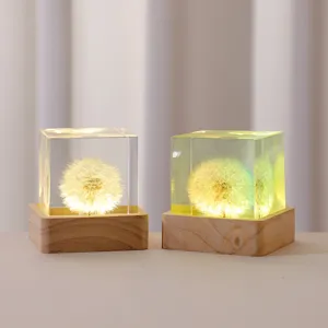 Luz nocturna de cubo de diente de león de resina con base de madera para dormitorio.