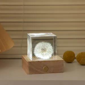 Luz nocturna LED cubo de diente de león creativa con base de madera para dormitorio.