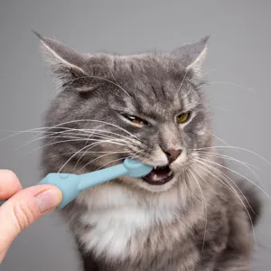 Soft silicone pet toothbrush detail shot showing a cat cleaning teeth with blue brush.