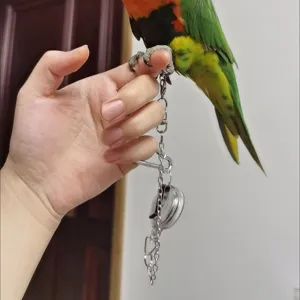 Detail shot of lightweight parrot leash with metal chain and retractable reel for pet training.