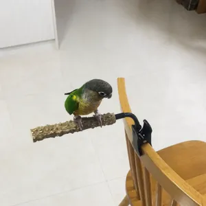 Posatoio flessibile per uccelli con collo in metallo e morsetto per pappagalli e animali.