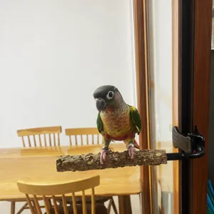 Clip per posatoio in legno regolabile per porta e tavolo accessorio multiuso per uccelli