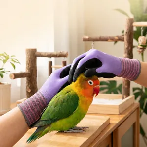Anti-bite bird training gloves for lovebirds, purple and black pet handling gloves.