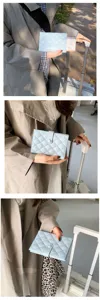 Hellblaue gesteppte Reisepasshülle Reißverschluss Brieftasche PU Leder Dokumentenorganizer.