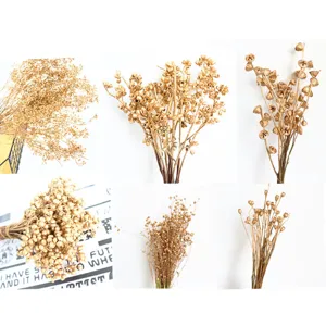 Gold Dried Flowers Natural Plant Fruit Branches Golden Millet Fruit Eucalyptus Golden Bouquet For Christmas Home Decor