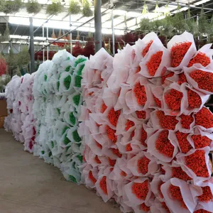 Preserved Limonium flower bouquets wholesale, 120g per bundle, ideal for home decor and gifts.