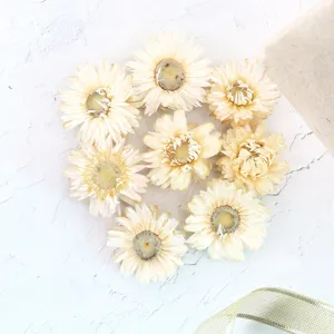 Natural dried strawflower heads detail view, creamy white floral material for DIY crafts.