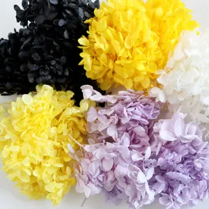 Preserved hydrangea flower heads details, colorful dry flower for DIY crafts, aromatic decor.
