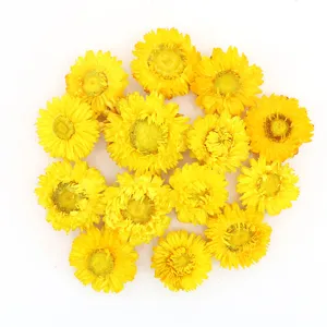 Natural dried strawflower heads yellow daisy floral for DIY crafts home decor supply