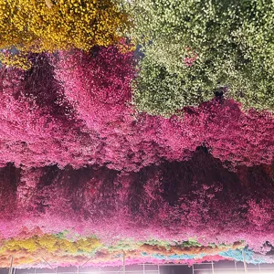 Detailed close-up view of vibrant colorful dried baby's breath flowers for home DIY decor.