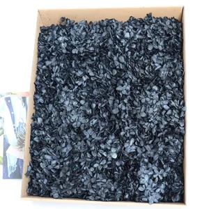 Preserved black hydrangea flowers bulk pack for DIY crafts, aromatherapy and floral design.