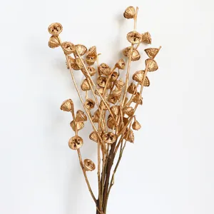 Golden dried eucalyptus fruit flower arrangement detail for Christmas home decor and floral crafts.