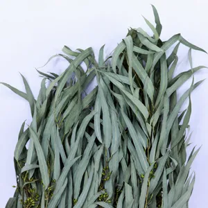 Detailed close-up of preserved eucalyptus leaves for home floral arrangements and decor.