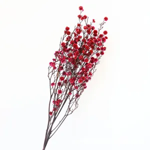 Detailed close-up of red dried flower branches, perfect for home decor and floral arrangement.
