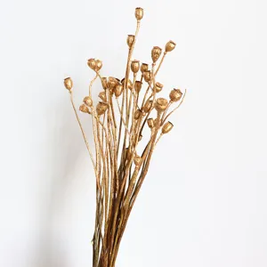 Close-up detail of golden dried flower pods, perfect for decorative bouquet arrangement.