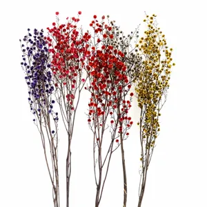 Details of colorful preserved dried flowers branches, perfect for home decor and floral art.