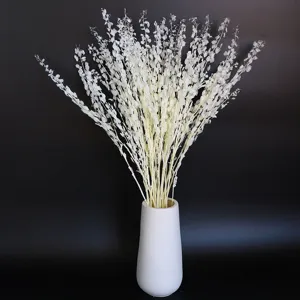 Natural Preserved Fern Leaves Dried Flower Bouquet DIY Aromatherapy Floating Flower Floral Arrangement Home Decor