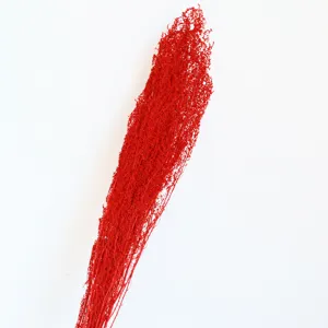 Red dried artemisia flower detail, perfect for floral arrangements and photography props.