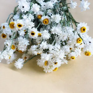 Natural Dried Flower Bouquet Nordic Style Silverleaf Daisy Small White Flowers For Home Decor Photography Props