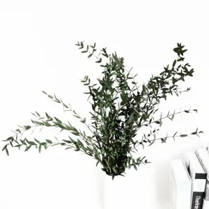 Preserved eucalyptus branches small bouquet dried leaves for home decor floral arrangement.