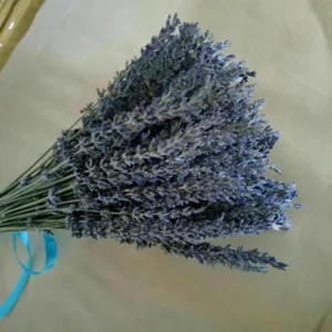 Dried lavender flower bouquet with blue ribbon home decor rustic style natural floral arrangement